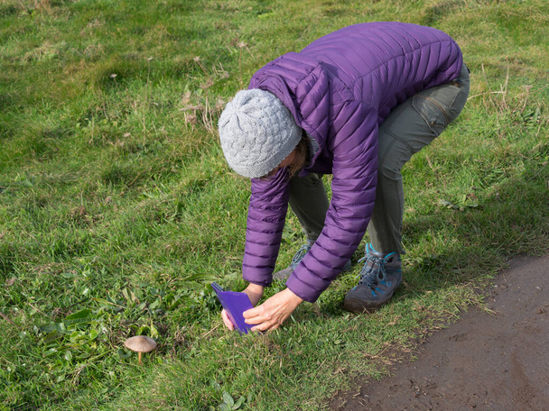 Dáma chodící v turistických botách se předkloní, aby vyfotila houbu slunečníku se svým smartphonem - Fotografie, Obrázek