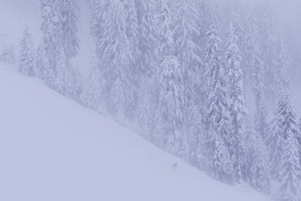Avusturya 'da aşırı hava koşullarında kayak yapmak - Fotoğraf, Görsel