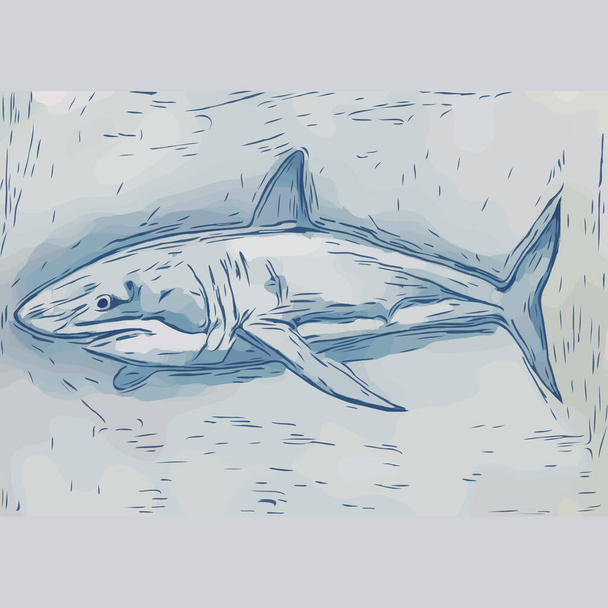 Акула Векторні ілюстрації. ручний намальований ескіз плавання акули. Небезпечний малюнок тваринного світу. Потужна концепція жорстокого символу. Акула ізольована на білому тлі
. - Вектор, зображення