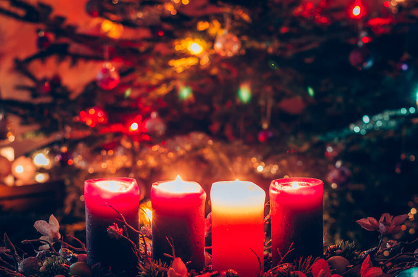 четыре христианские свечи, одна розовая и три фиолетовых горящих на фоне рождественской елки - Фото, изображение