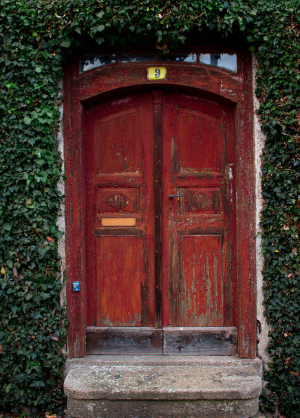 rote alte rustikale Haustür mit Efeu  - Foto, Bild