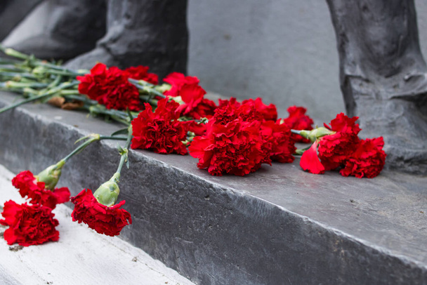 Close-up de cravos vermelhos no monumento - Foto, Imagem