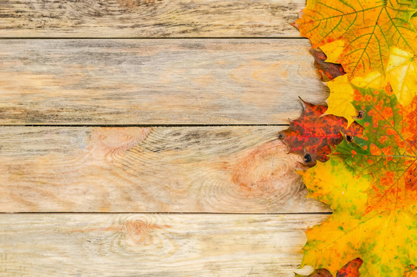 Belas folhas de outono brilhantes em um fundo de madeira no lado com espaço de cópia. Fundo de outono bonito com espaço de cópia - Foto, Imagem
