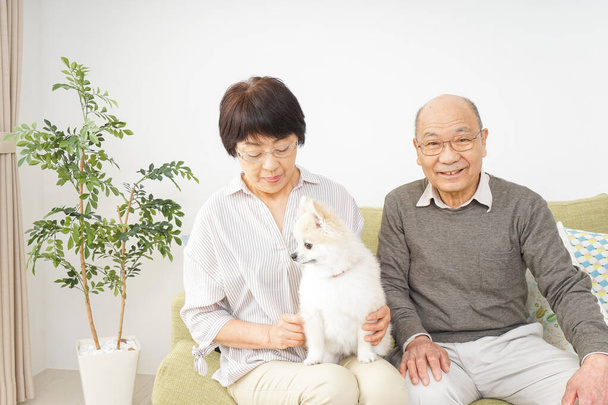 Ηλικιωμένο ζευγάρι που έχει σκύλο - Φωτογραφία, εικόνα