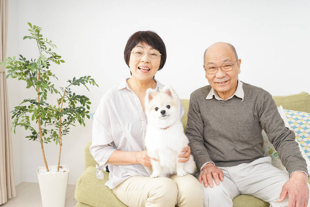 Coppia anziana con un cane - Foto, immagini