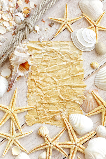 Sea shells - Foto, Imagem
