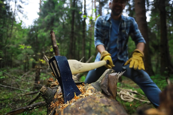 Maschio lavoratore con ascia tagliare un albero nella foresta. - Foto, immagini