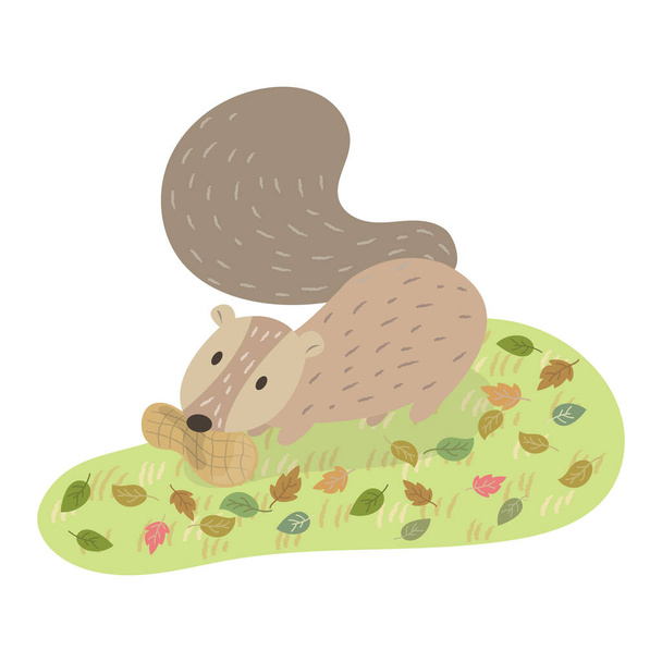 Squirrel and a bean in his mouth vector cartoon illustration. Cute squirrel pastel cartoon.  - Vektor, obrázek
