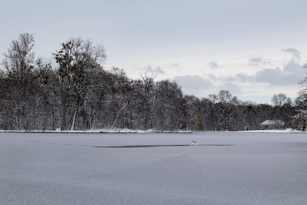 Парк у Німфенбурзькому замку в Мюнхені; Німеччина взимку. - Фото, зображення