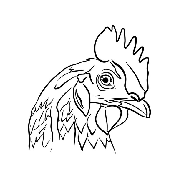 Outline sketch of rooster head in profile - Vetor, Imagem
