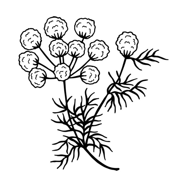 flowers seamless pattern. Vector stock illustration eps10.  - Вектор,изображение