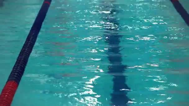 Kelebek kontur yüzme spor - Video, Çekim