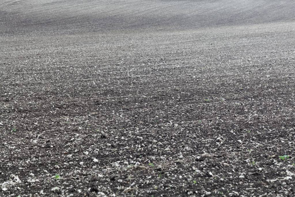 Powierzchnia świeżo zaoranego pola z białymi kamieniami - Zdjęcie, obraz