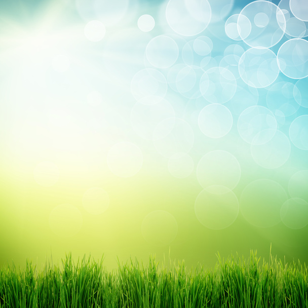 zelené gras abstraktní pozadí letní s krásou bokeh - Fotografie, Obrázek