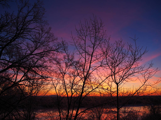 Winter dawn on the river Bank. The forest on the background of the dawn. - Photo, Image