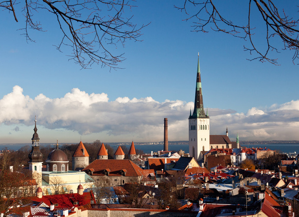 Altstadt von Tallinn - Foto, Bild