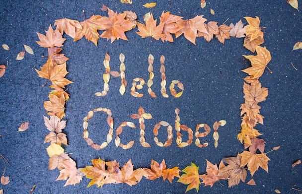 Bonjour Octobre. fond d'automne. écriture avec des feuilles orange et jaune. nature sèche. béton humide. après la pluie. - Photo, image