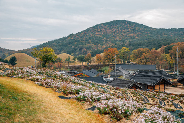 大韓民国慶州の石洞古村と古王墓の秋 - 写真・画像