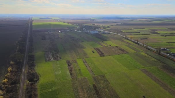 Vista aérea superior de uma terra com campos verdes para baixo no campo com plantas cultivadas - Filmagem, Vídeo