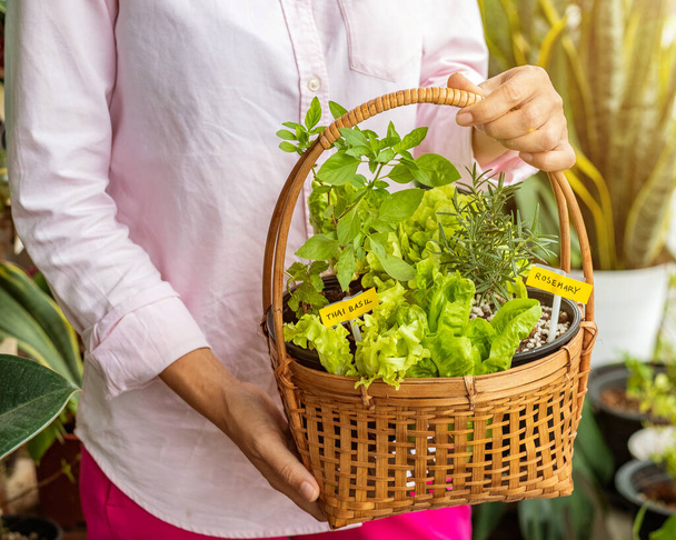 Close up of a woman in a pink shirt holding a basket of various vegetables. Healthy lifestyle concept. - Фото, зображення