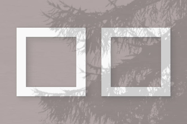 Естественный свет отбрасывает тени от ветви ели на 2 квадратные рамки из белой текстурированной бумаги - Фото, изображение