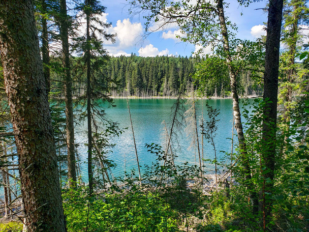 Beautiful view on the Blue Lakes Hiking Trail during the summer at Duck Mountain Provincial Park, Manitoba, Canada - Photo, Image