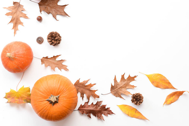 Beautiful autumn composition on white background - Фото, изображение