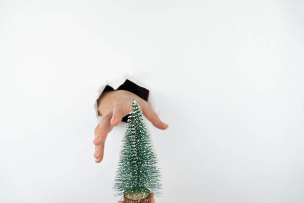The hand reaches for the artificial tree, Through the hole in the white wall, the hand reaches for the tree. I want a holiday. free space for text - Foto, Bild