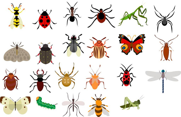 Insect pictogrammen platte set geïsoleerd op witte achtergrond - Vector, afbeelding