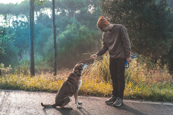 Nuori komea mies kävelyttää koiraansa luonnossa säteillä aamulla syksyllä. Ystävyyden ja eläinrakkauden käsite. Aurinko, lämmin hehku ja pitkät varjot. - Valokuva, kuva