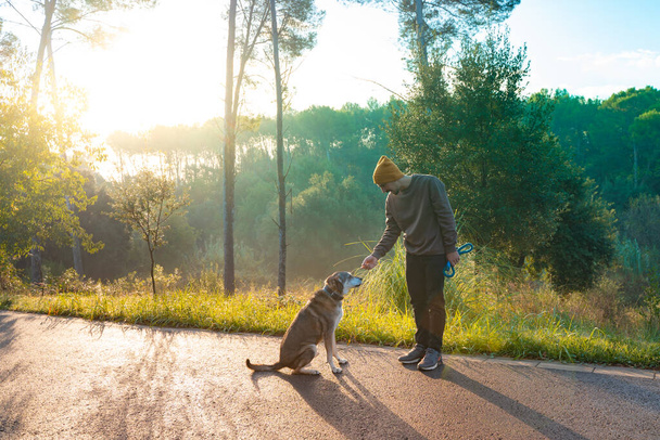 Young handsome man walking his dog in nature with the rays of the morning in autumn. Friendship and animal love concept. Sun, warm glow and long shadows. - Foto, Bild