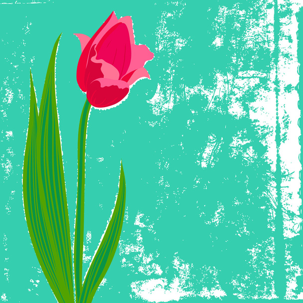 Vector card with red tulip on textured background. - Vettoriali, immagini