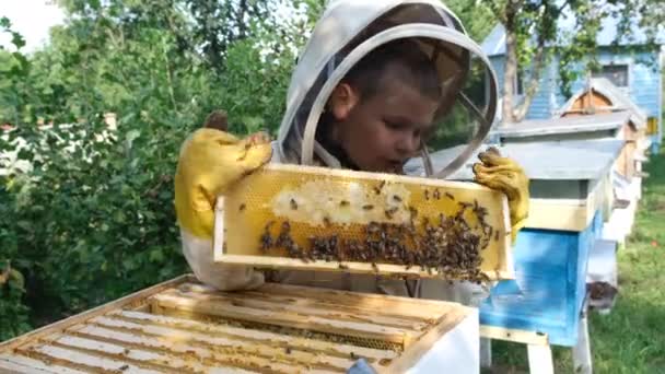 Apicultor menino alegre em terno protetor perto da colmeia. favo de mel com mel. Conceito de comida orgânica. O mel orgânico mais útil. - Filmagem, Vídeo