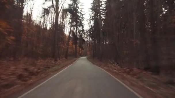 mozgás az úton a végtelen őszi erdőben ősszel - Felvétel, videó