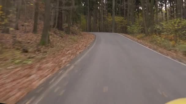 movimiento en la carretera entre el bosque de otoño sin fin en el día de otoño - Metraje, vídeo
