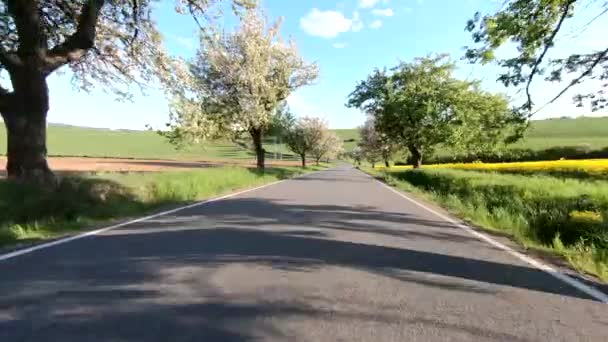 jazdy samochodem w zielonej wiosny wsi - Materiał filmowy, wideo