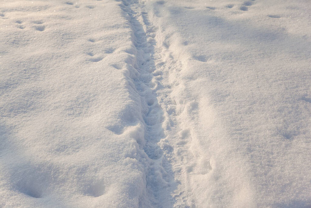 Taze karda insan ayak izleri. - Fotoğraf, Görsel