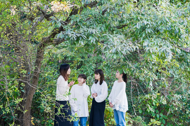 4 Japanese young women wearing white shirts and chatting in the park - Photo, image