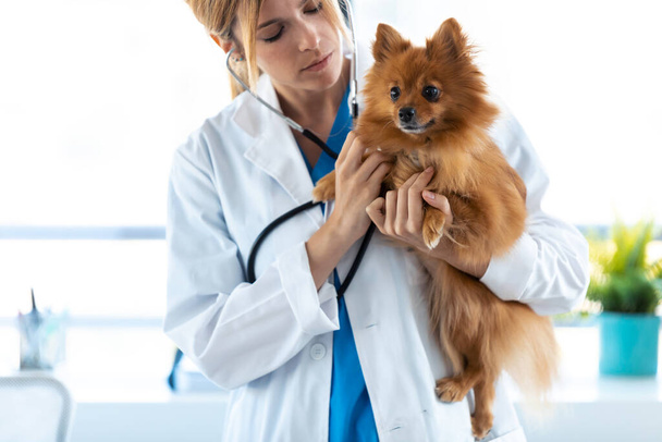 Shot of beautiful young veterinarian woman using stethoscope to listening to the heartbeat of cute lovely pomeranian dog at veterinary clinic. - Φωτογραφία, εικόνα
