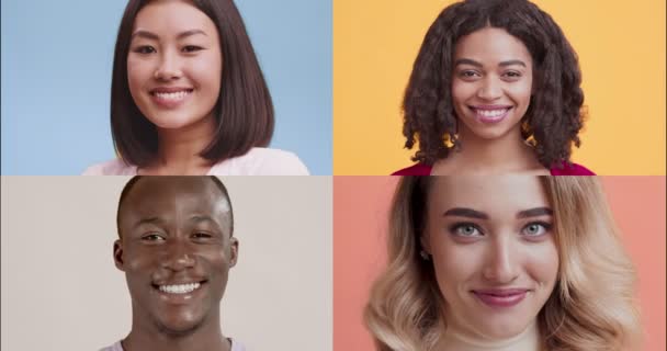 Collage di felici diverse persone millenarie sorridenti alla fotocamera su sfondo colorato studio - Filmati, video