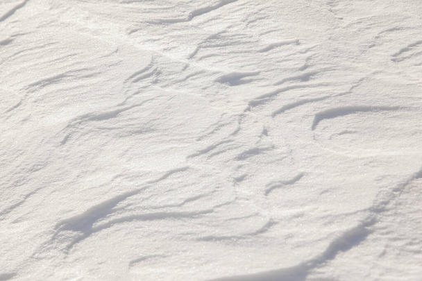 fond d'hiver avec texture de neige gros plan - Photo, image