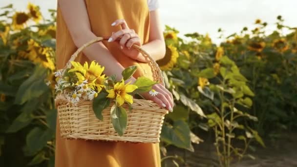 Eine Frau hält einen Korb mit Blumen in der Hand. Im Hintergrund ein Sonnenblumenfeld. Nahaufnahme. 4K - Filmmaterial, Video