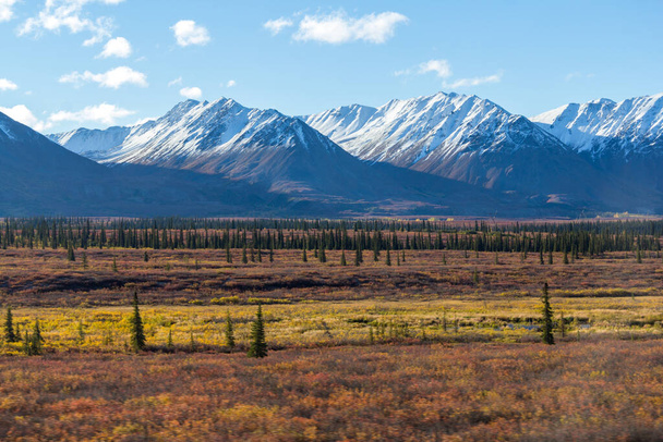 Denali National Park, AK / USA - Sept. 10, 2012: A landscape of the Alaskan wilderness. - 写真・画像