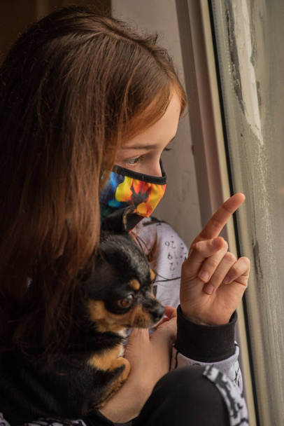 Tyttö chihuahuansa kanssa ulos ikkunasta, koska hän ei voi mennä ulos. Elämäntapa käsite. Tyttö ja koira coronavirus jäädä kotiin. Tyttö 9 vuotias kanssa chihuahua koira aikana virusinfektion. Koronavirus - Valokuva, kuva