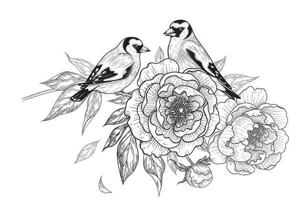 Hand drawn goldfinches sitting on peony branch with flower and leaves isolated on white background. Vector monochrome elegant floral composition with birds in vintage style, t-shirt, tattoo design. - Vektor, kép