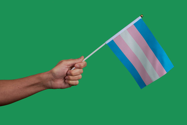 zbliżenie młodej osoby kaukaskiej machającej flagą dumy transseksualnej na zielonym tle - Zdjęcie, obraz