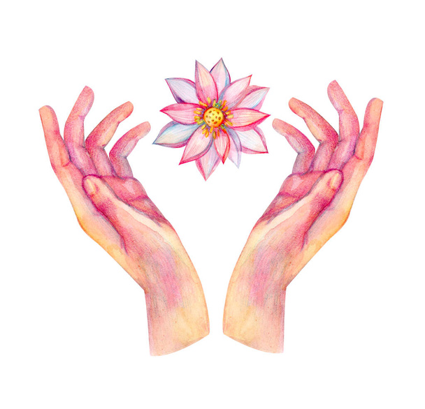 Ilustración con manos y loto dibujado a mano en acuarela aislada sobre fondo blanco. - Foto, imagen