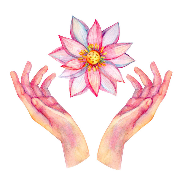 Illustratie met handen en lotus met de hand getekend in aquarel geïsoleerd op witte achtergrond. - Foto, afbeelding