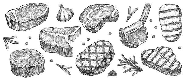 Hand drawn steak set isolated on white background - Vettoriali, immagini