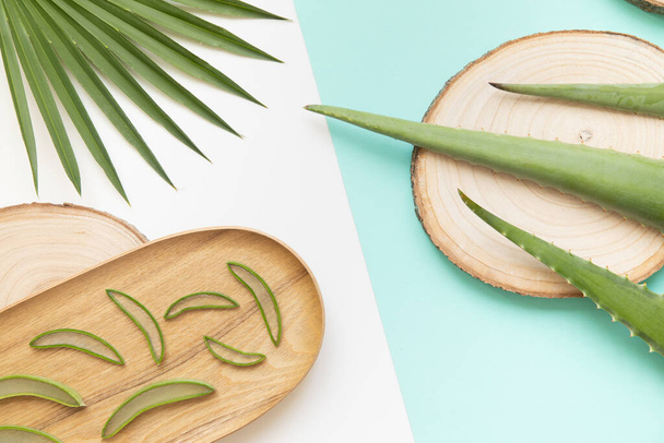 Fresh leaves and slices of aloe vera on a tropical background. - Photo, Image